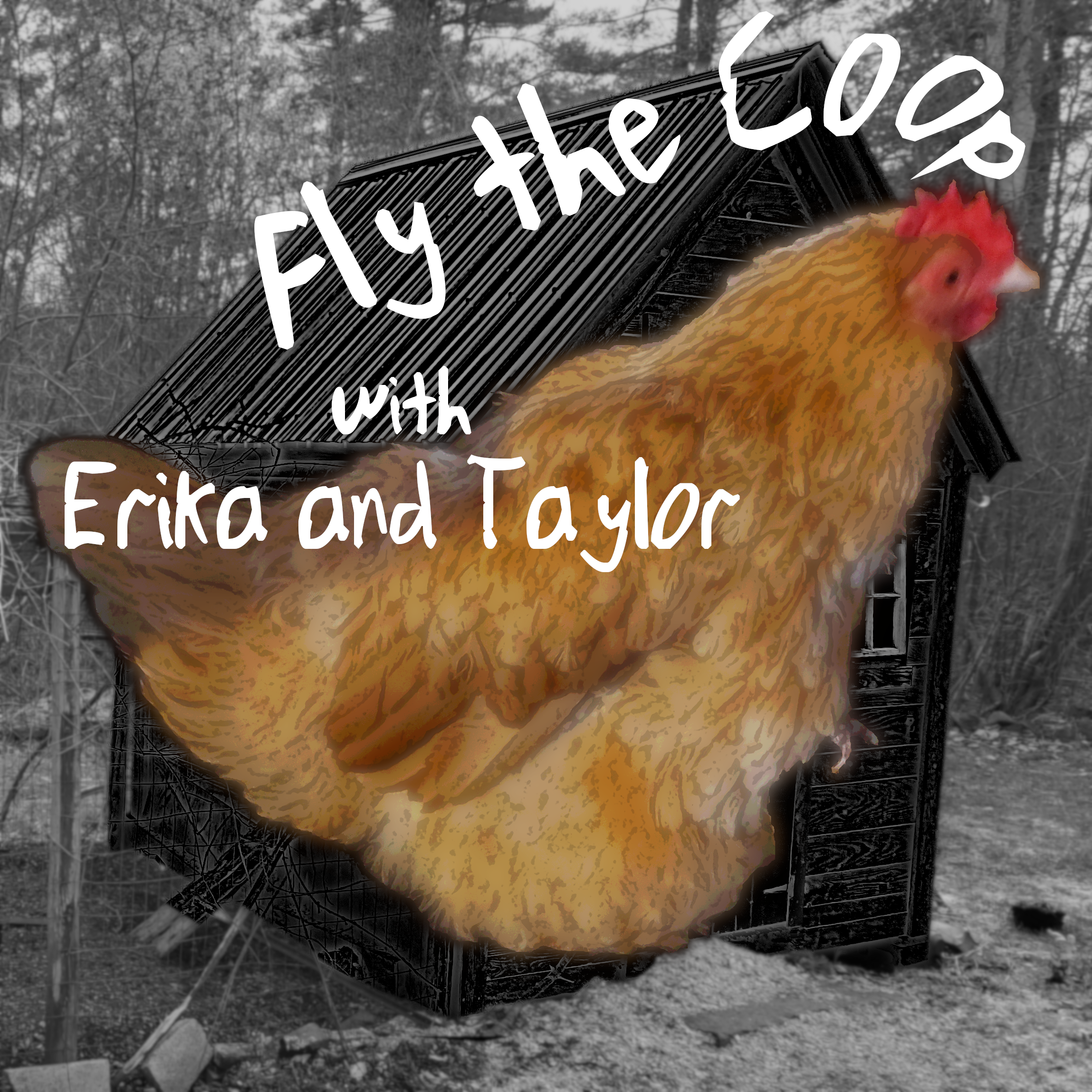 Fly the Coop - A Podcast 